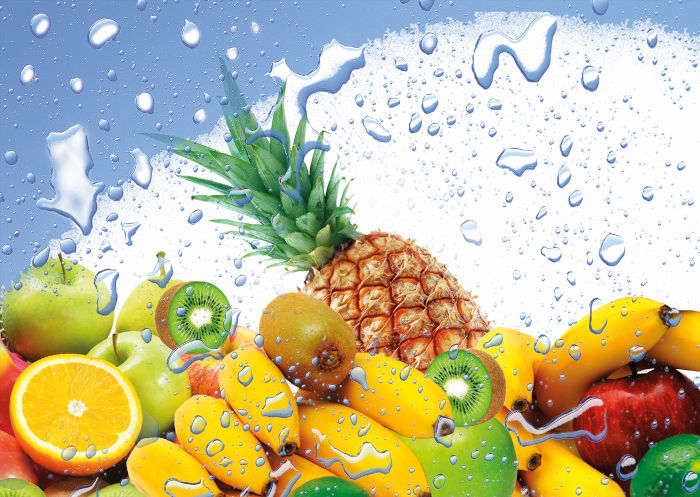 Nöbauer Transport und Logistik Seekirchen Frischelogistik